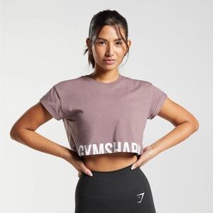 Gymshark Fraction Cropped Top Tee in Dusty
